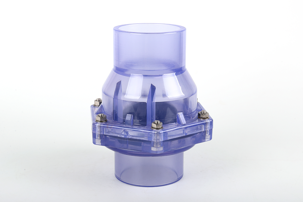 防城透明翻板式止回阀